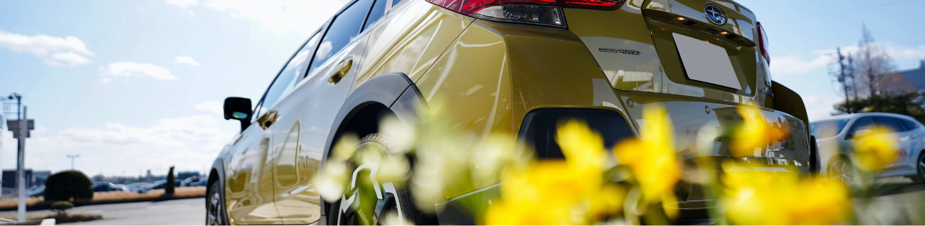 大曲店メインビジュアル